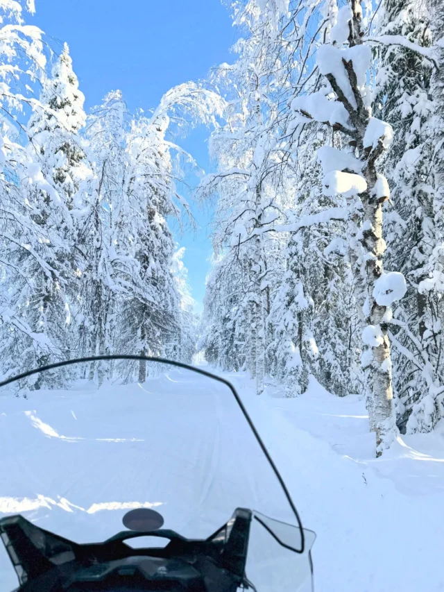 Snowmobile adventure in a snowy fairytale forest
🤍#ylläs #lappland #finland #visitlapland